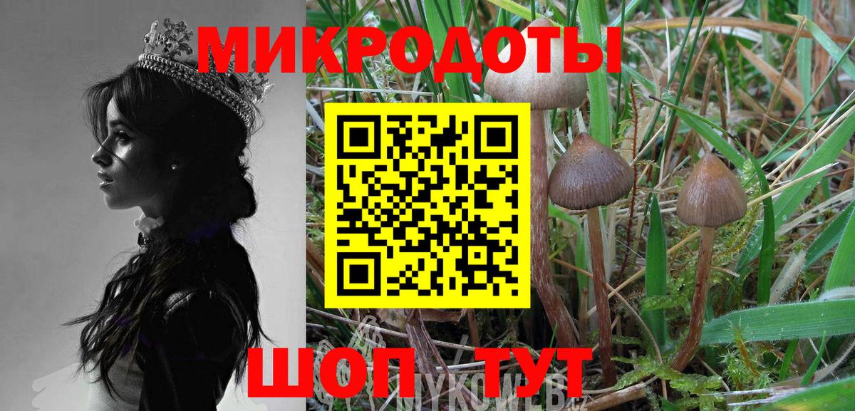 Моздок  Галлюциногенные грибы Psilocybine cubensis  Вход с VPN 